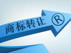 知識(shí)產(chǎn)權(quán)服務(wù) 企業(yè)創(chuàng)新發(fā)展的護(hù)航者