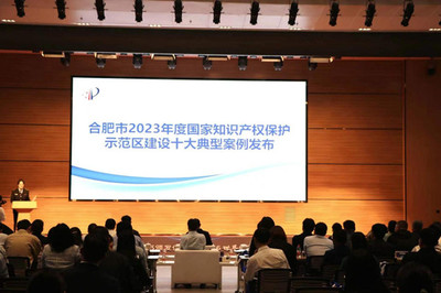 知識產(chǎn)權(quán)服務(wù) 企業(yè)創(chuàng)新發(fā)展的守護(hù)神